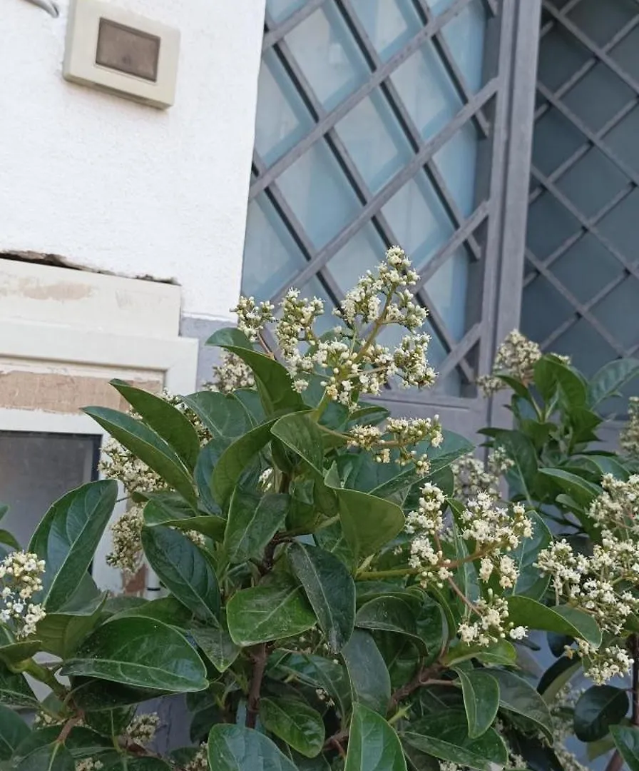 La Casetta Di Marta Ai Quattro Canti Palermo 0*,  Italien